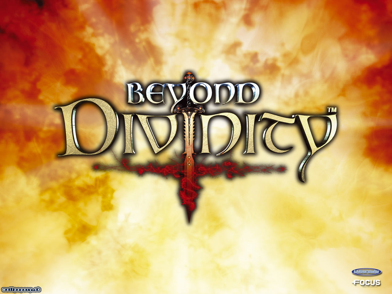Beyond Divinity - wallpaper 7