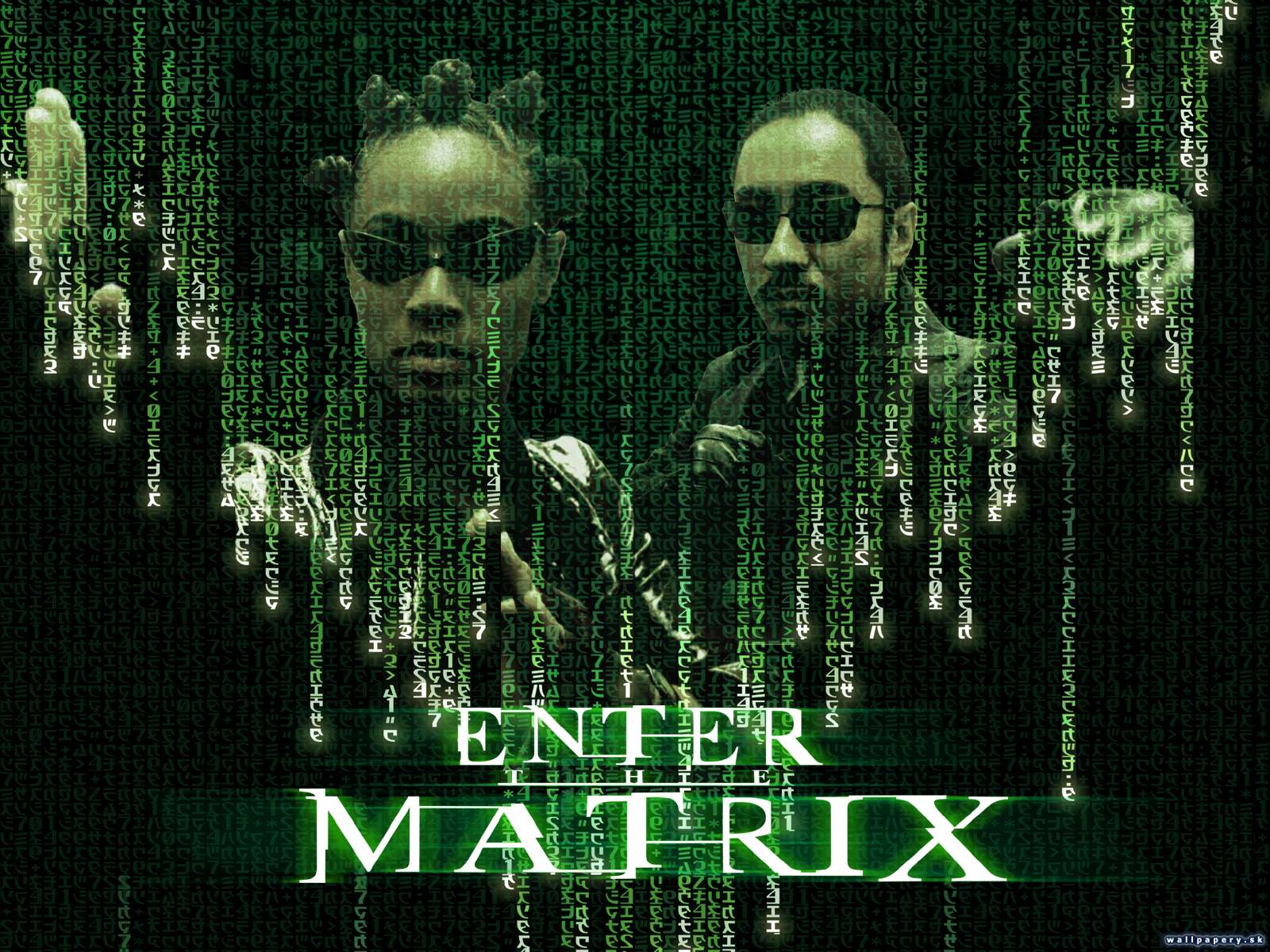 Enter The Matrix - wallpaper 1