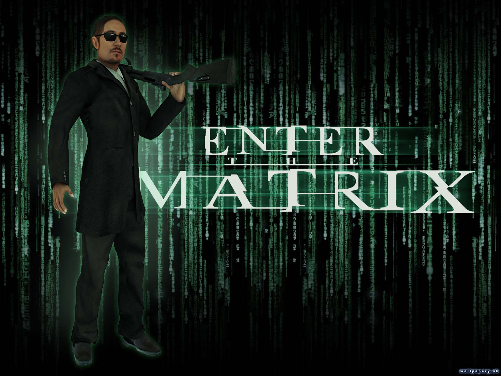 Enter The Matrix - wallpaper 2