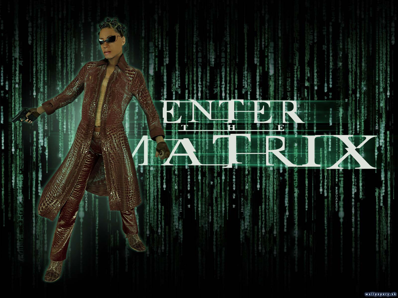 Enter The Matrix - wallpaper 3