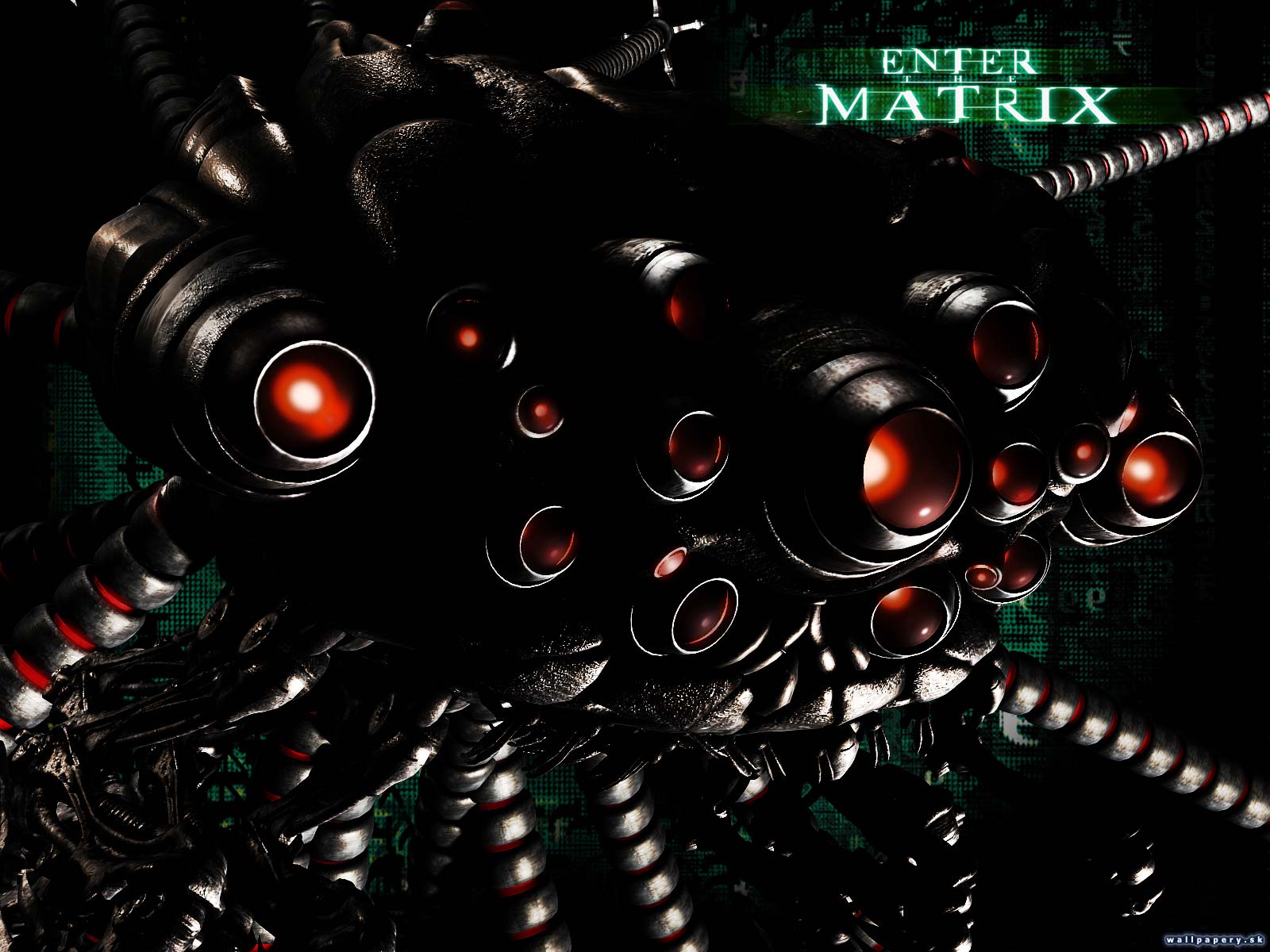 Enter The Matrix - wallpaper 6
