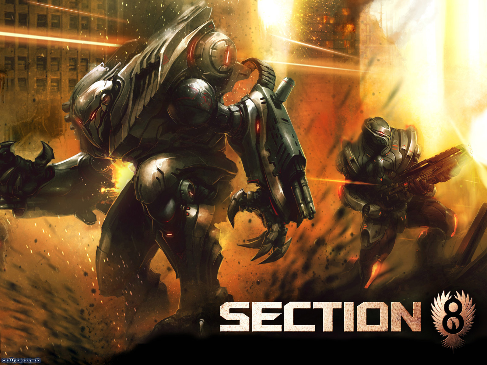 Section 8 - wallpaper 1