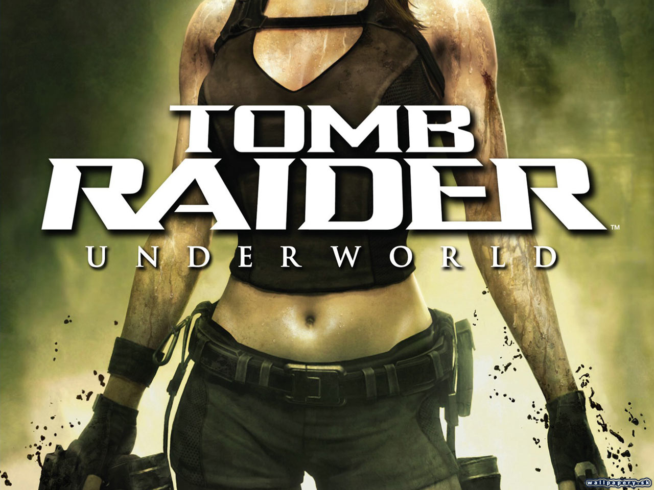 Tomb Raider: Underworld - wallpaper 6