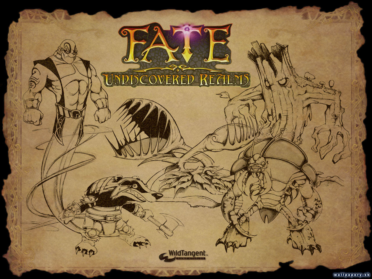 FATE: Undiscovered Realms - wallpaper 3