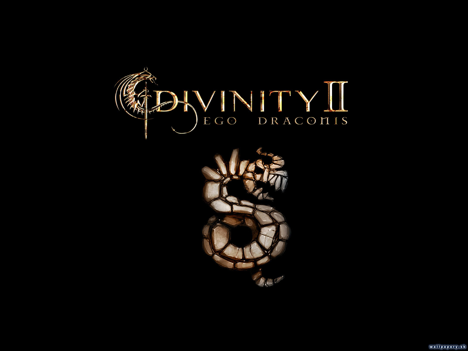 Divinity 2: Ego Draconis - wallpaper 2