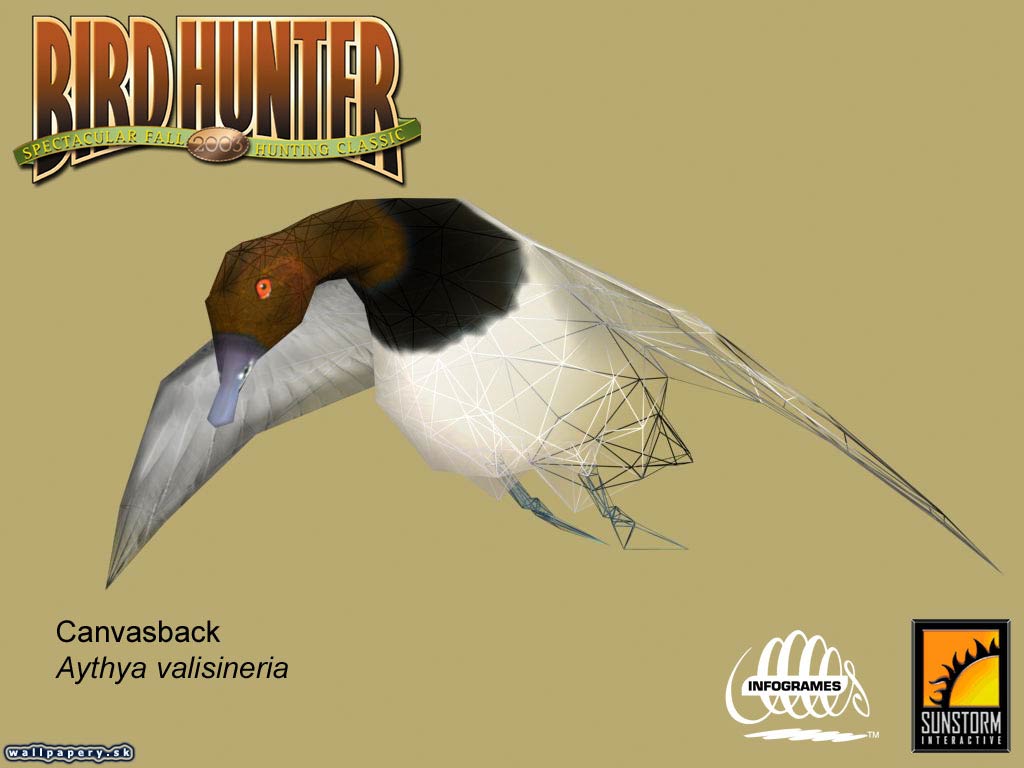 Bird Hunter 2003 - wallpaper 14