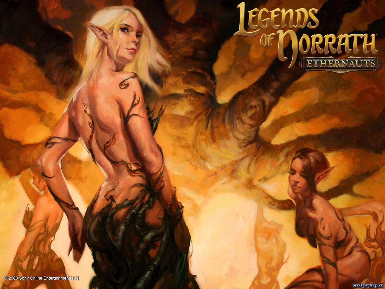 Legends of Norrath: Ethernauts - wallpaper 3