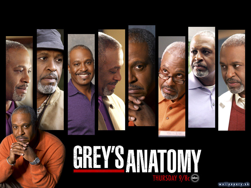 Greys Anatomy: The Video Game - wallpaper 8