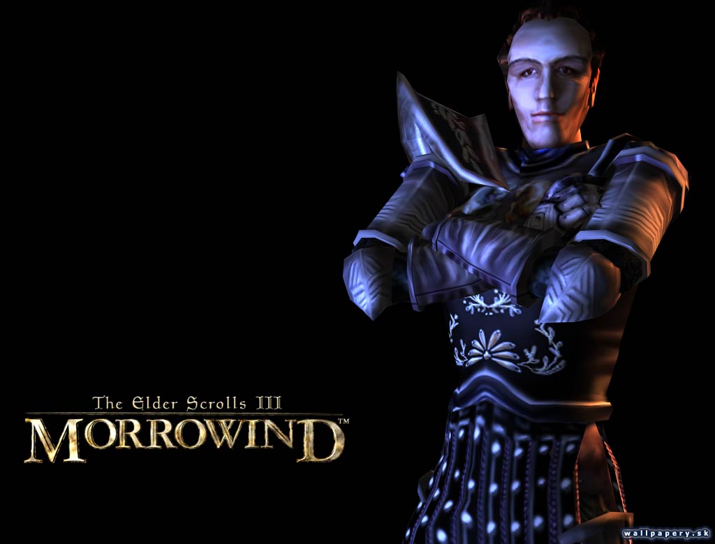 The Elder Scrolls 3: Morrowind - wallpaper 1