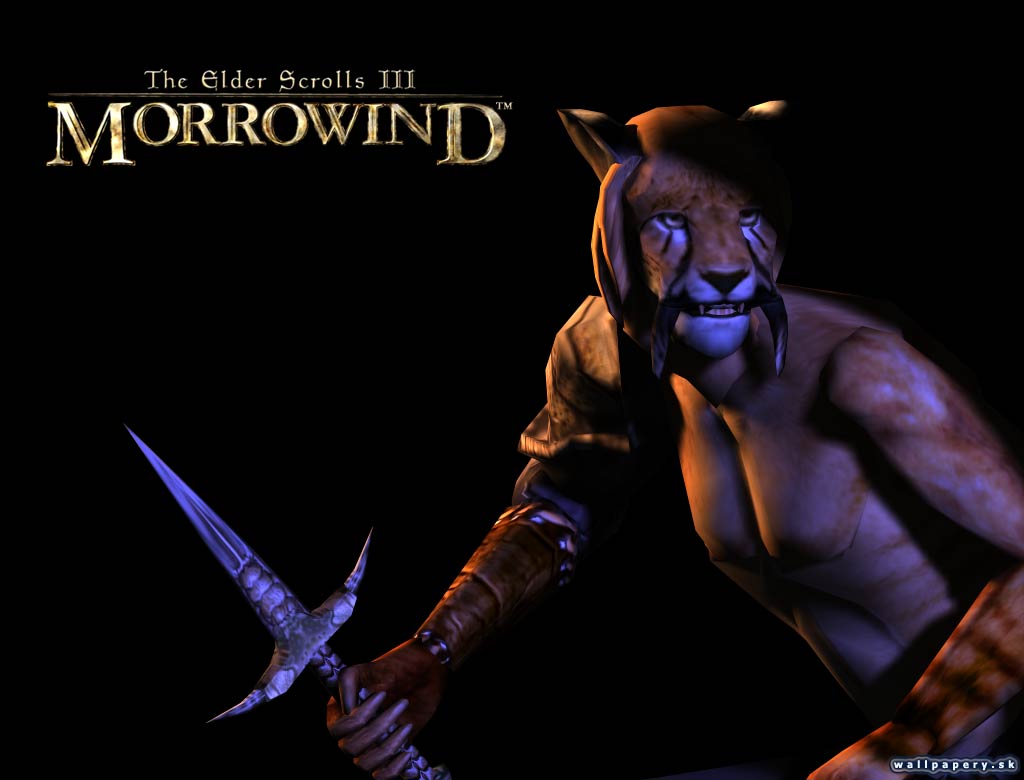 The Elder Scrolls 3: Morrowind - wallpaper 2