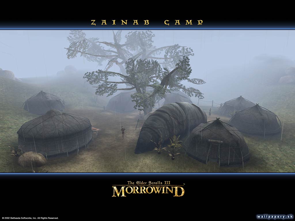 The Elder Scrolls 3: Morrowind - wallpaper 15