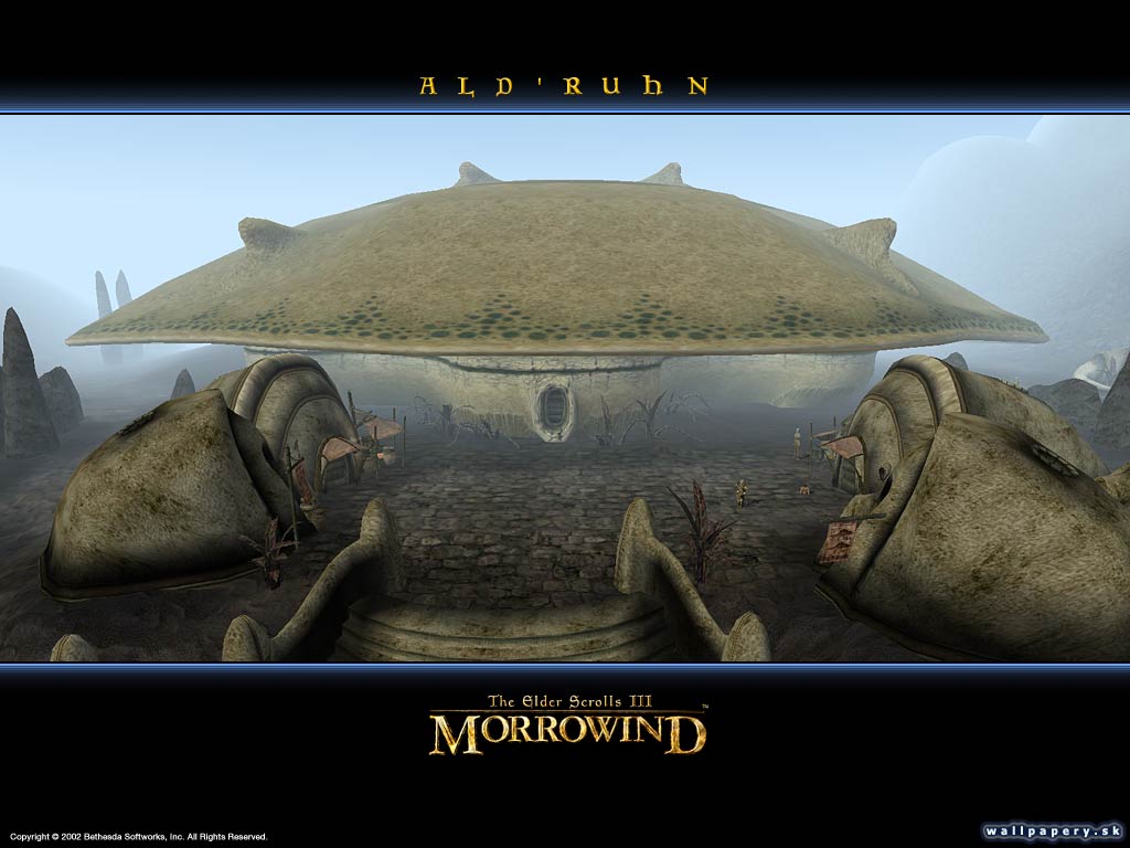 The Elder Scrolls 3: Morrowind - wallpaper 19