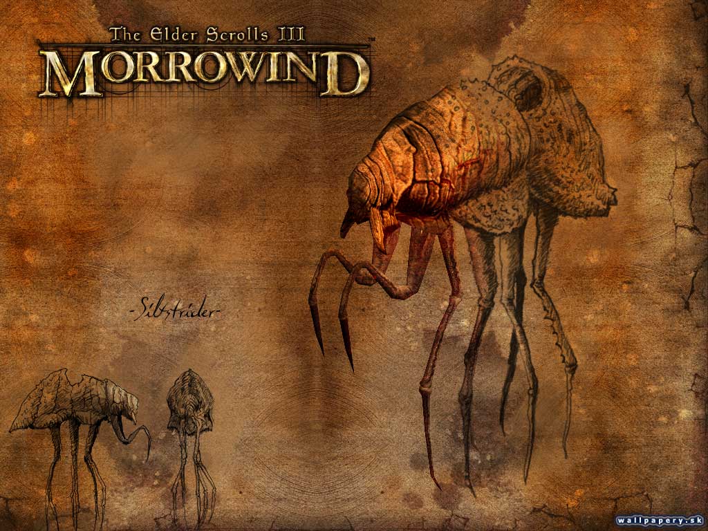 The Elder Scrolls 3: Morrowind - wallpaper 22