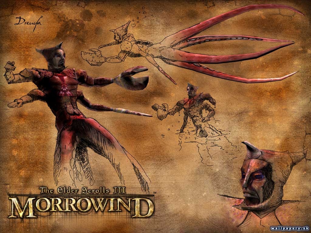 The Elder Scrolls 3: Morrowind - wallpaper 23