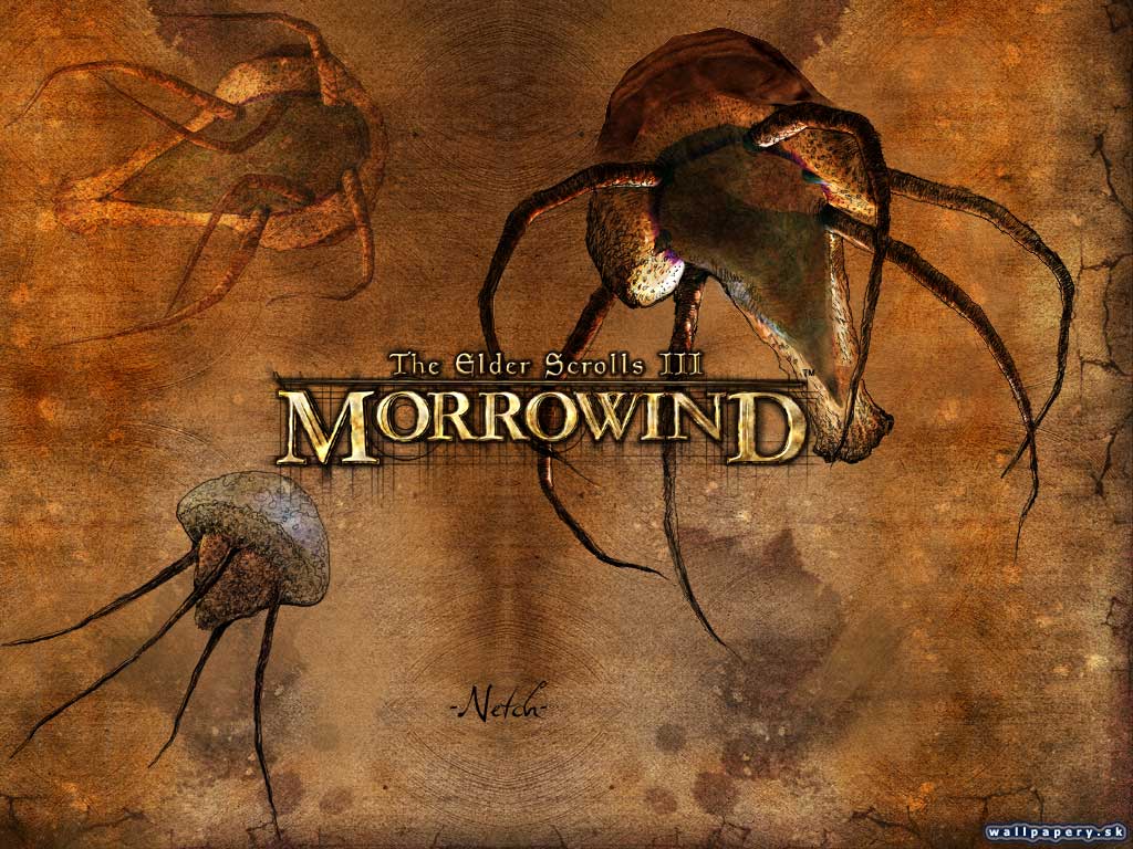 The Elder Scrolls 3: Morrowind - wallpaper 24