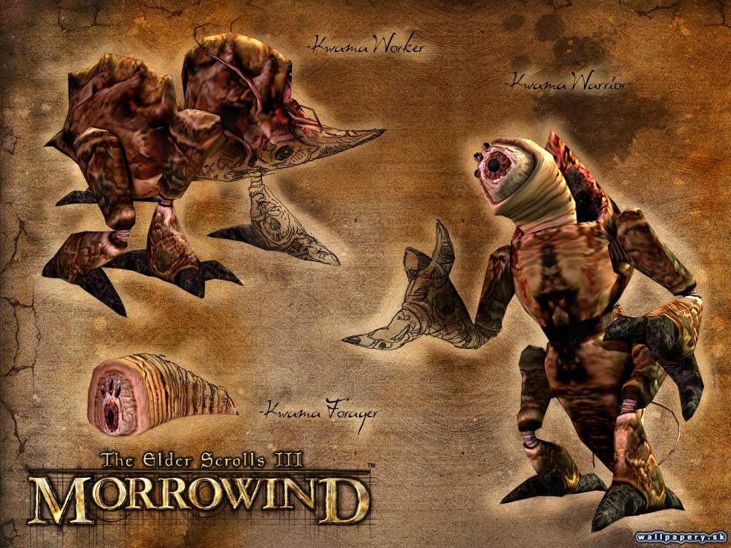 The Elder Scrolls 3: Morrowind - wallpaper 25