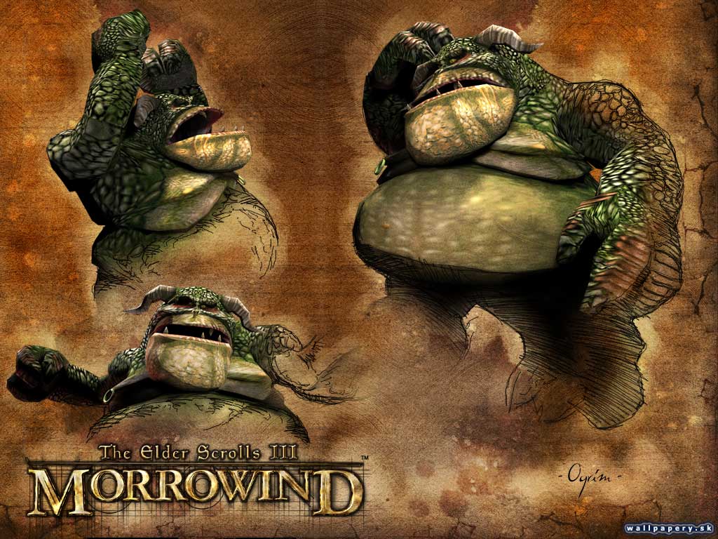The Elder Scrolls 3: Morrowind - wallpaper 26