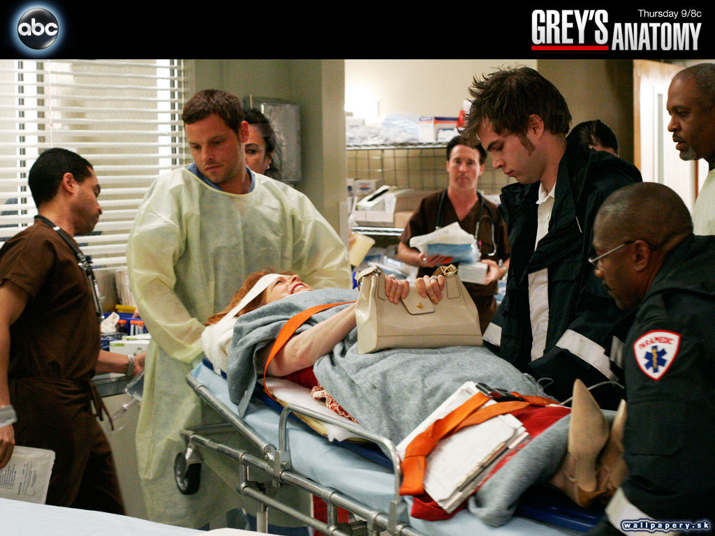 Greys Anatomy: The Video Game - wallpaper 17