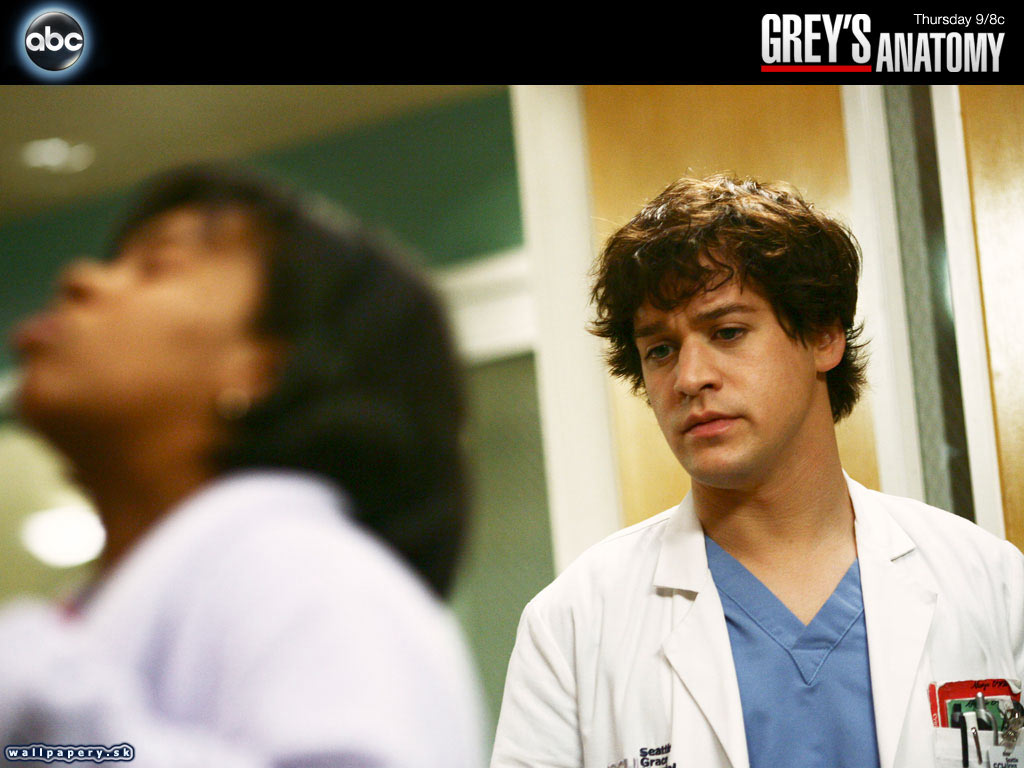 Greys Anatomy: The Video Game - wallpaper 18