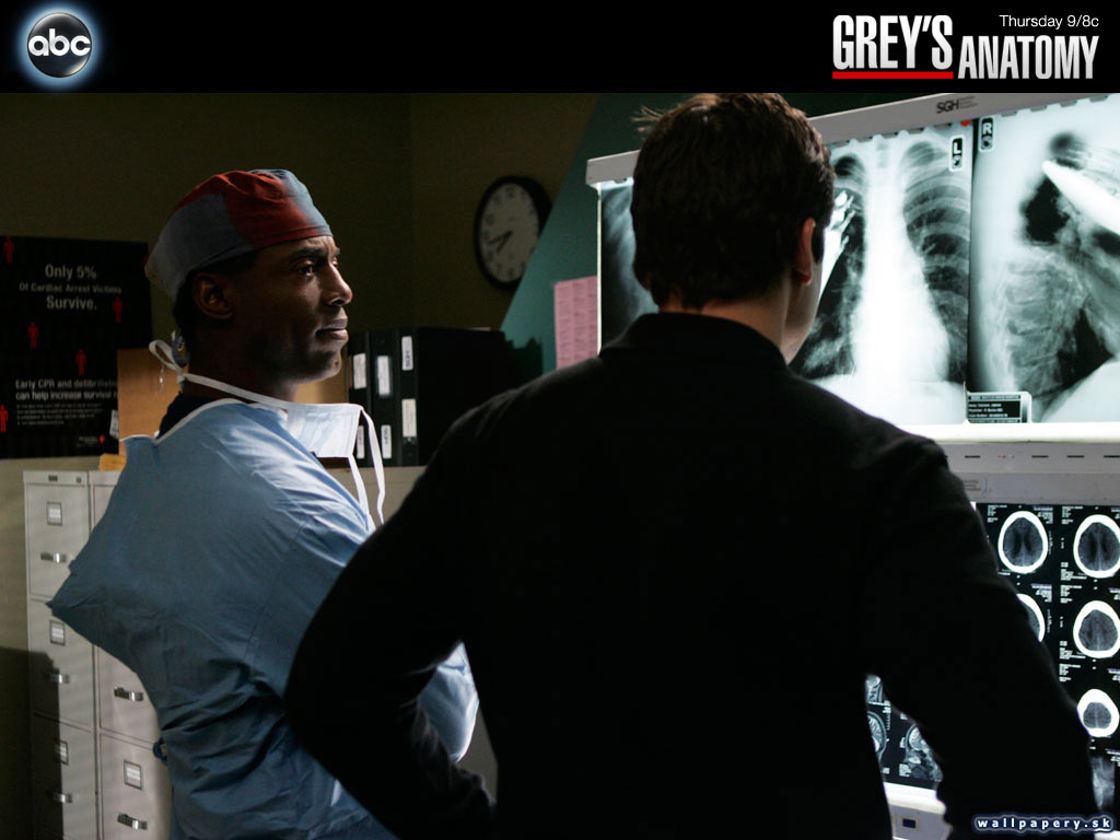Greys Anatomy: The Video Game - wallpaper 20