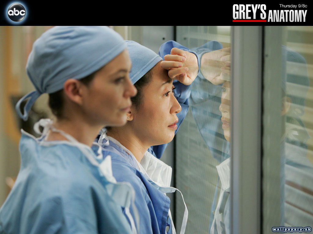Greys Anatomy: The Video Game - wallpaper 21