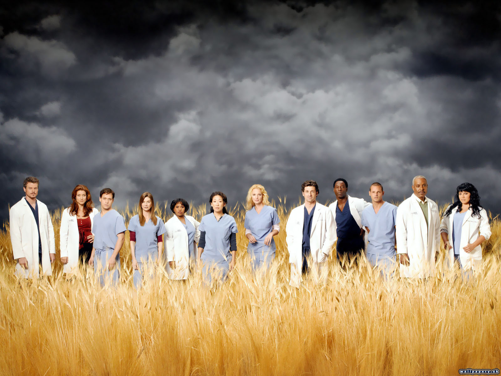 Greys Anatomy: The Video Game - wallpaper 35
