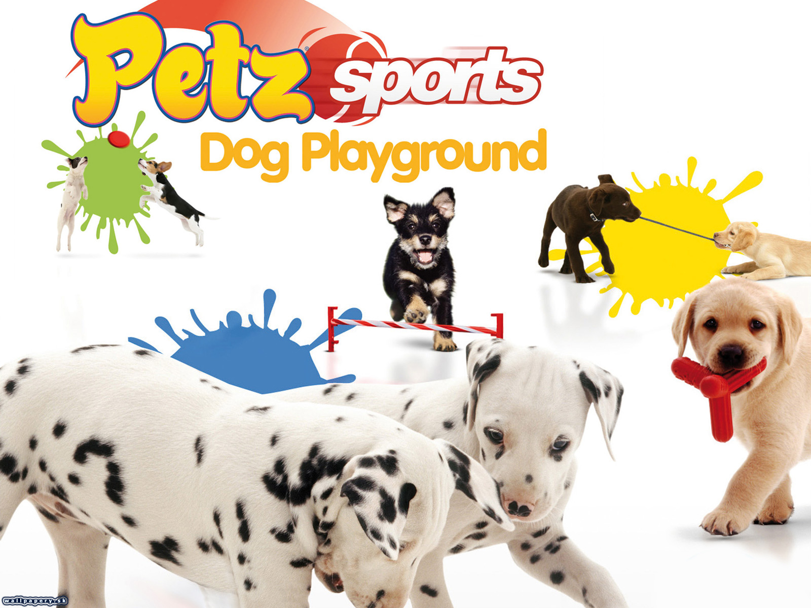 Game dog ru. Игра Petz Sports. Dogz Petz Sport. Petz Sports: Dog Playground. Pets Sport Dogs игра.