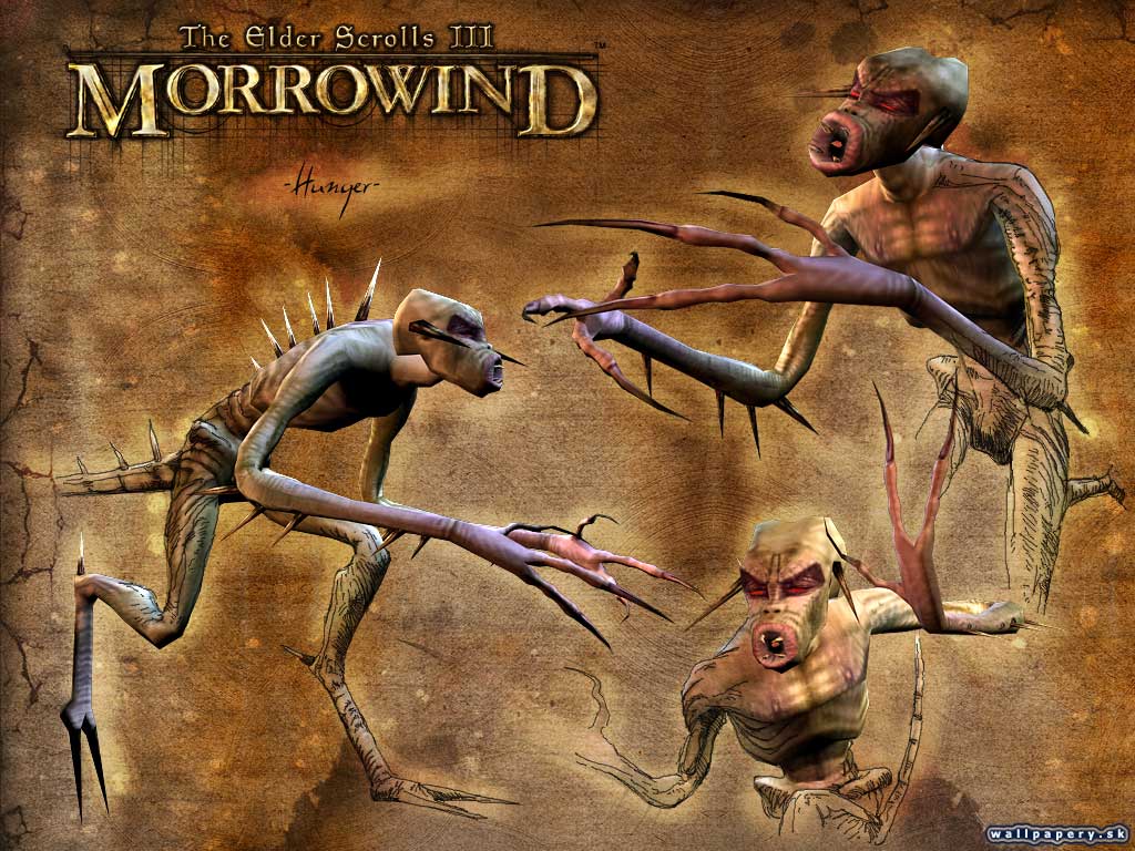 The Elder Scrolls 3: Morrowind - wallpaper 27