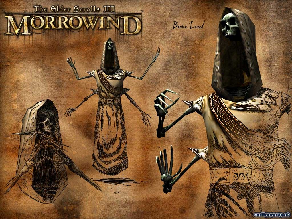 The Elder Scrolls 3: Morrowind - wallpaper 29