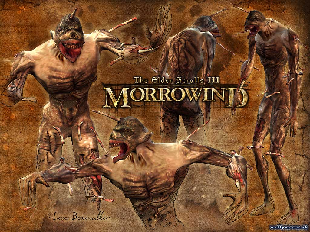The Elder Scrolls 3: Morrowind - wallpaper 30