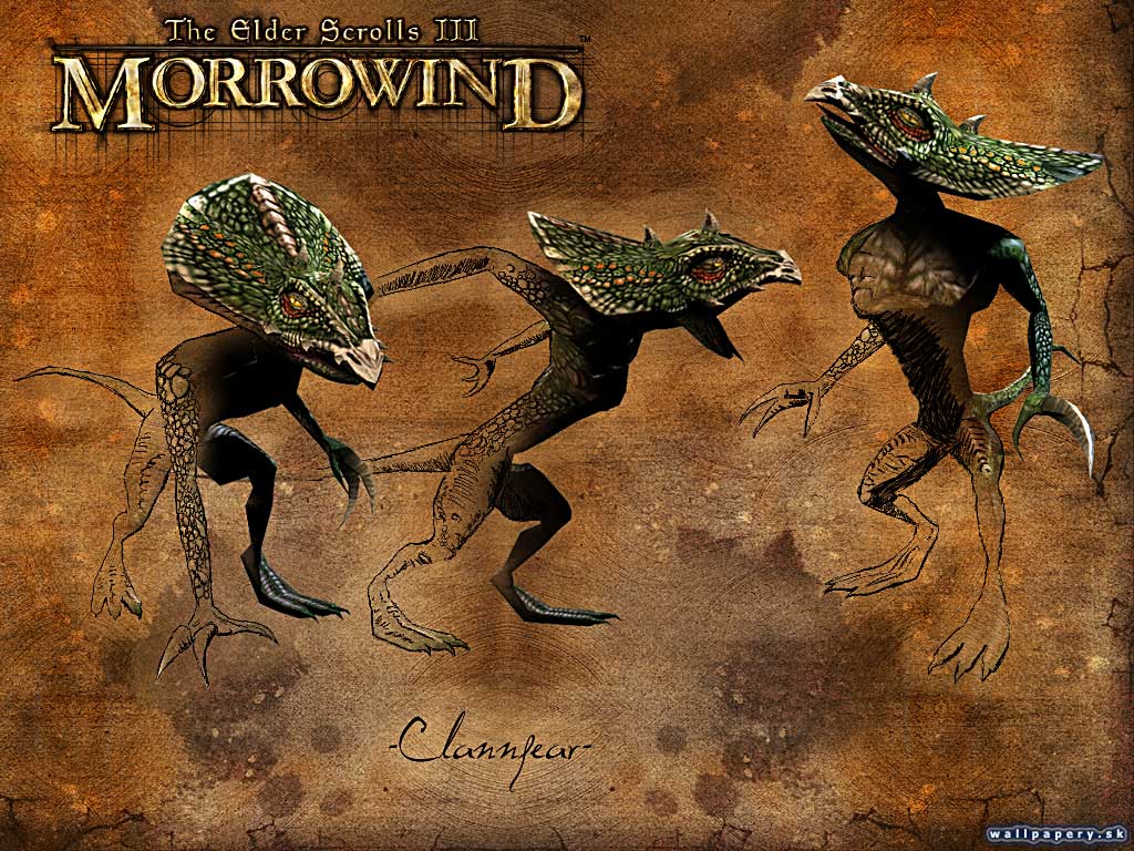 The Elder Scrolls 3: Morrowind - wallpaper 32