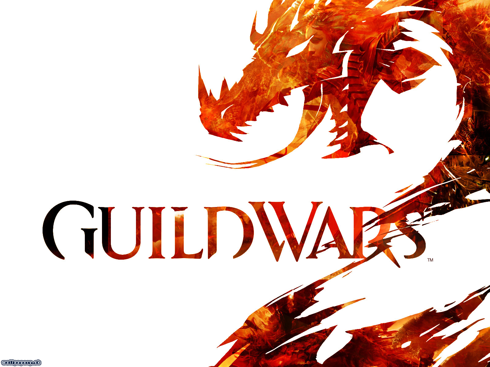 Guild Wars 2 - wallpaper 3