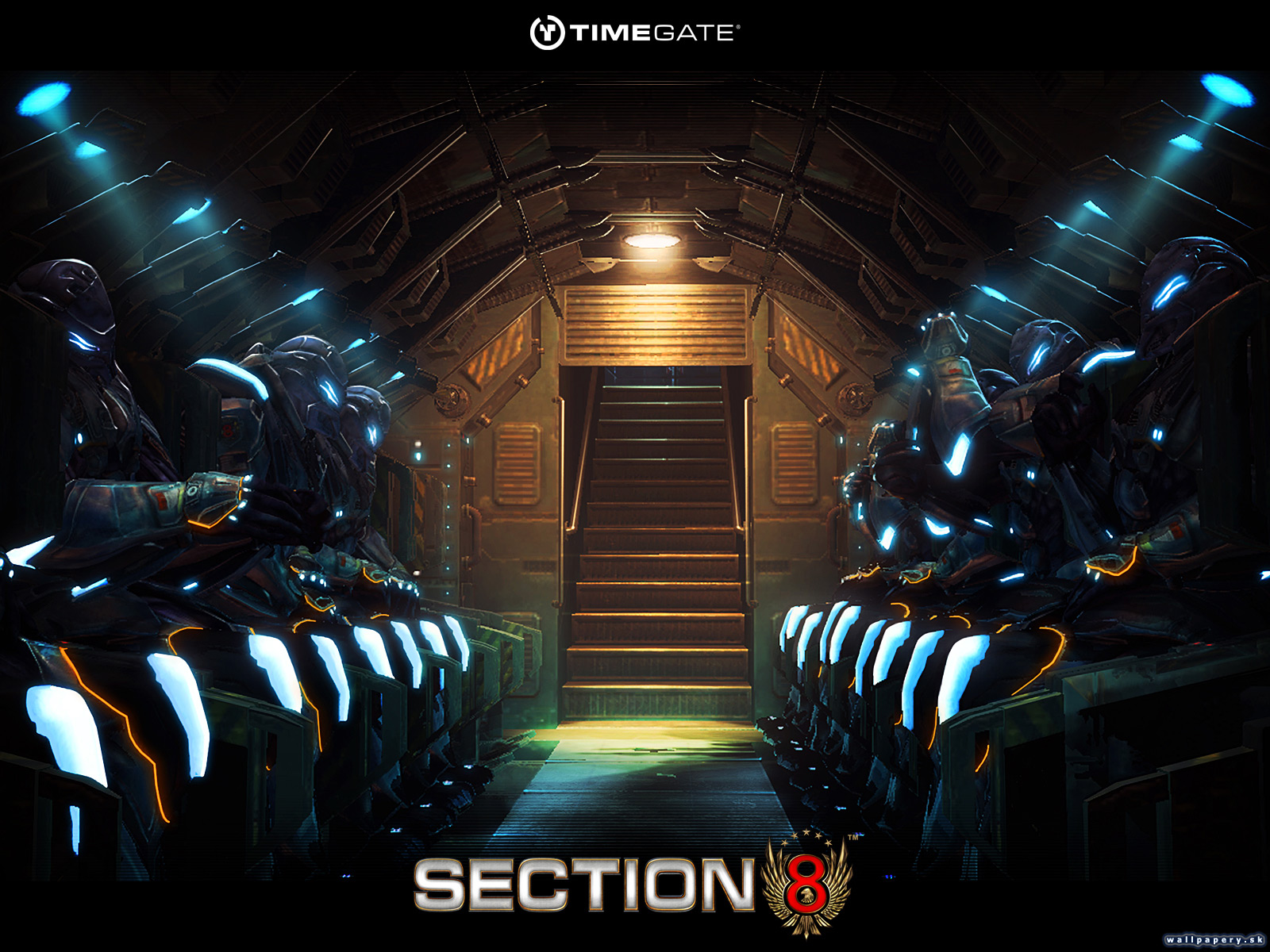 Section 8 - wallpaper 8