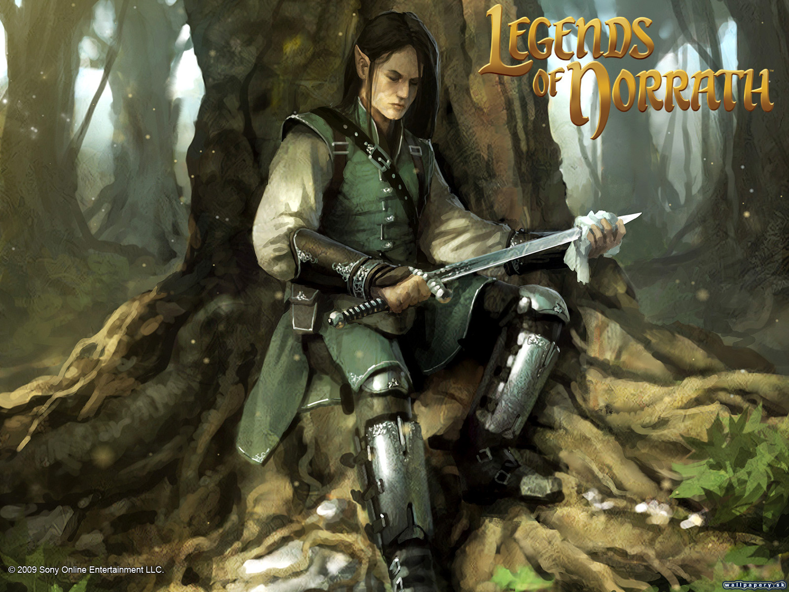Legends of Norrath: Storm Break - wallpaper 21
