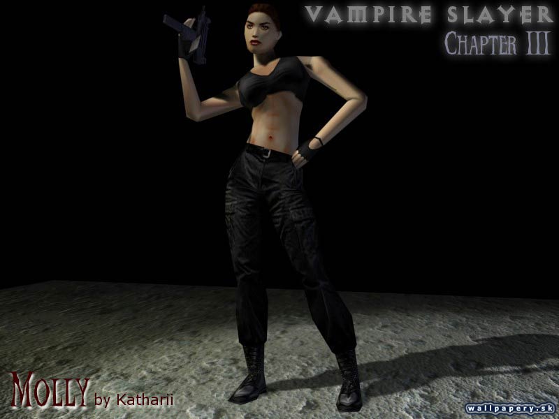 Half-Life: Vampire Slayer - wallpaper 19