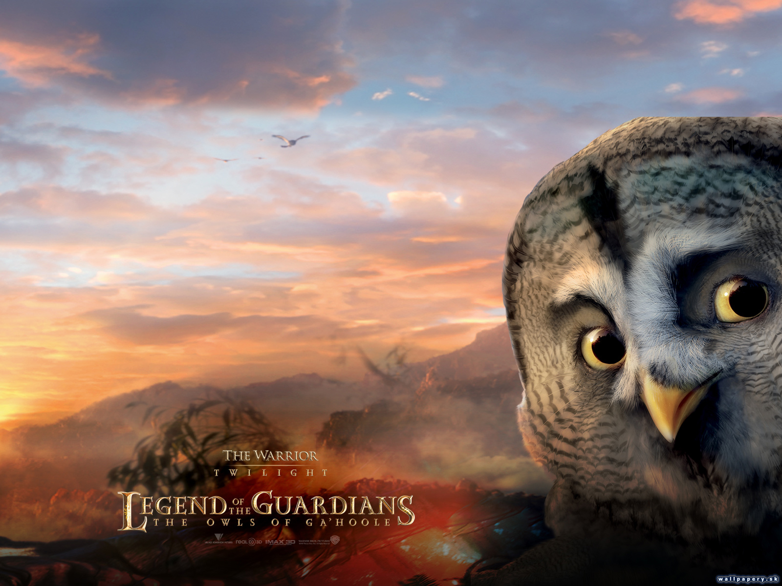 Legend of the Guardians: The Owls of Ga'Hoole - wallpaper 11
