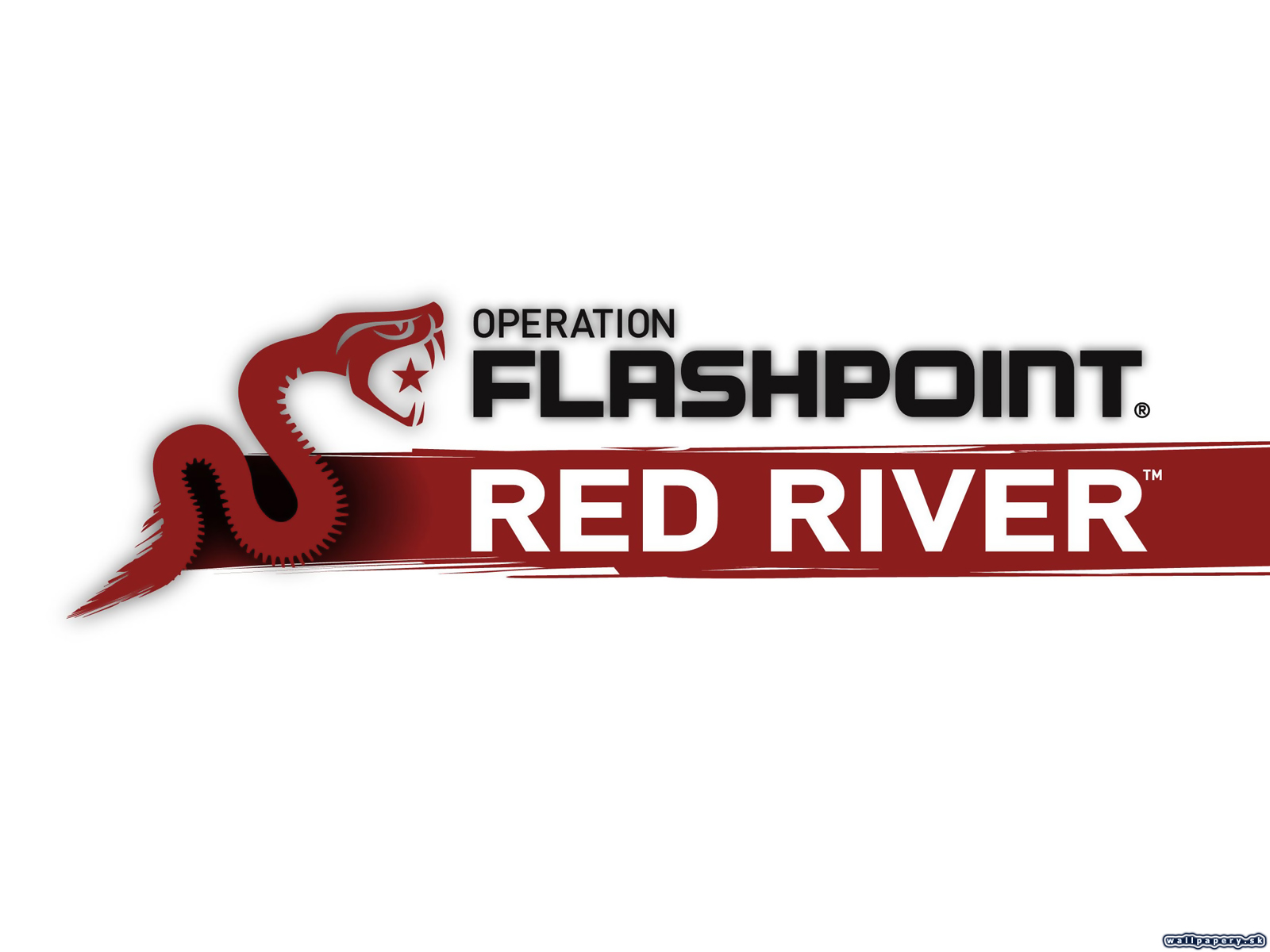 Operation Flashpoint: Red River - wallpaper 4