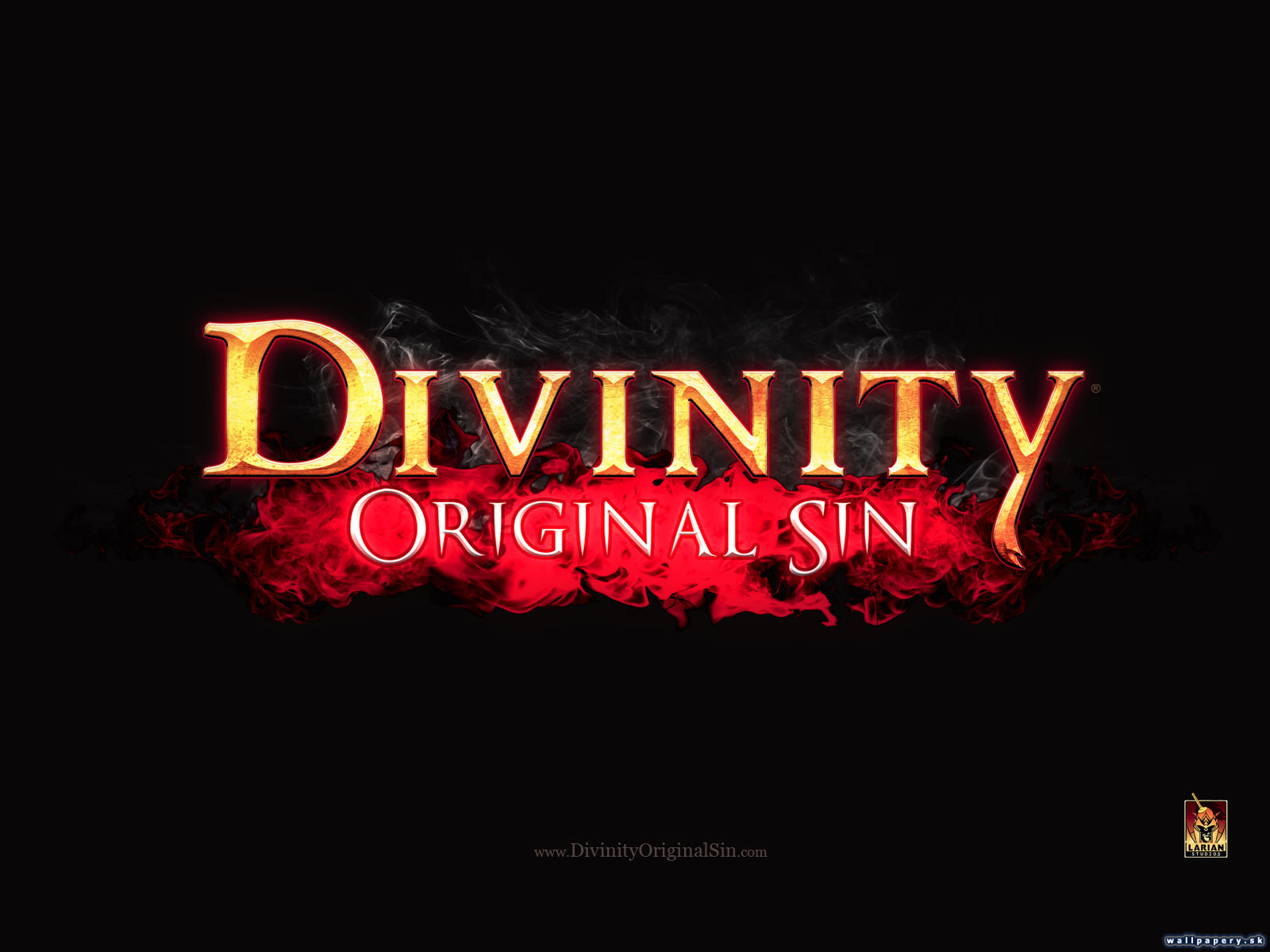 Divinity: Original Sin - wallpaper 2