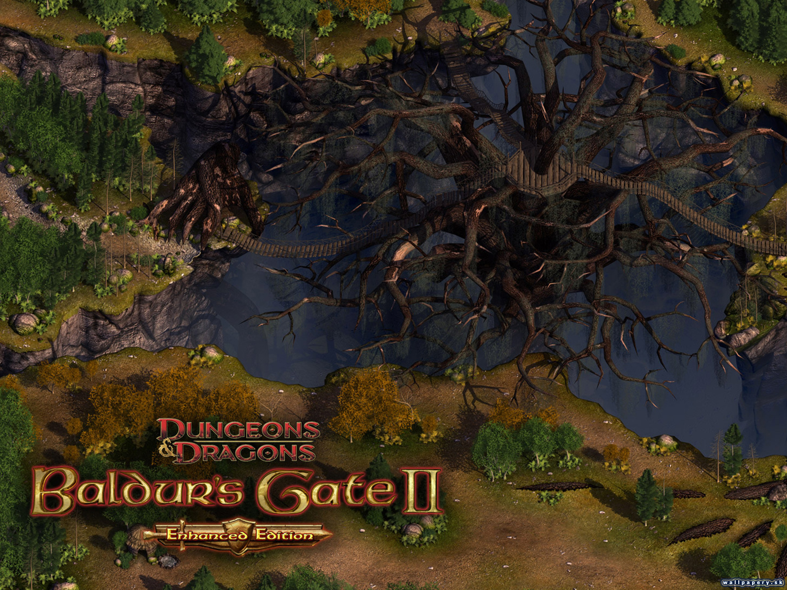 Baldur's Gate II: Enhanced Edition - wallpaper 4