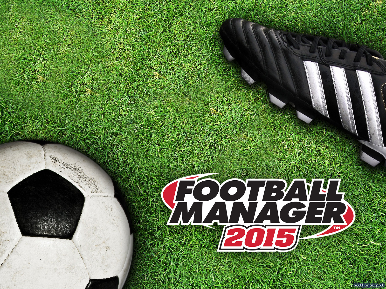 Football Manager 2015 - wallpaper 3