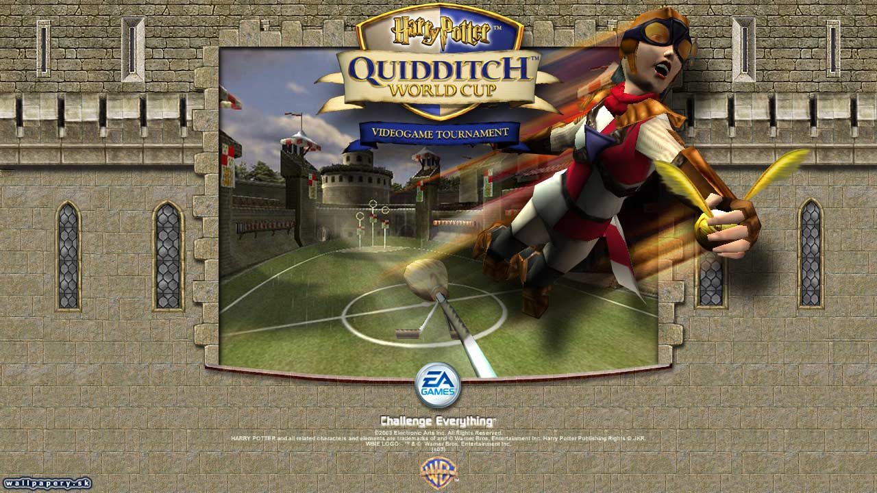 Harry Potter: Quidditch World Cup - wallpaper 4