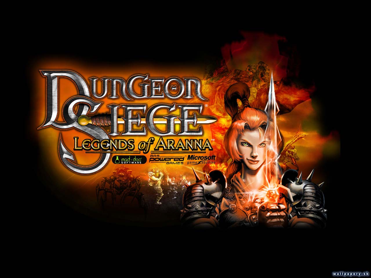 Dungeon Siege: Legends of Aranna - wallpaper 5
