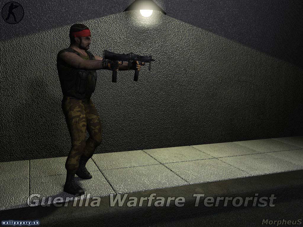 Counter-Strike - wallpaper 23